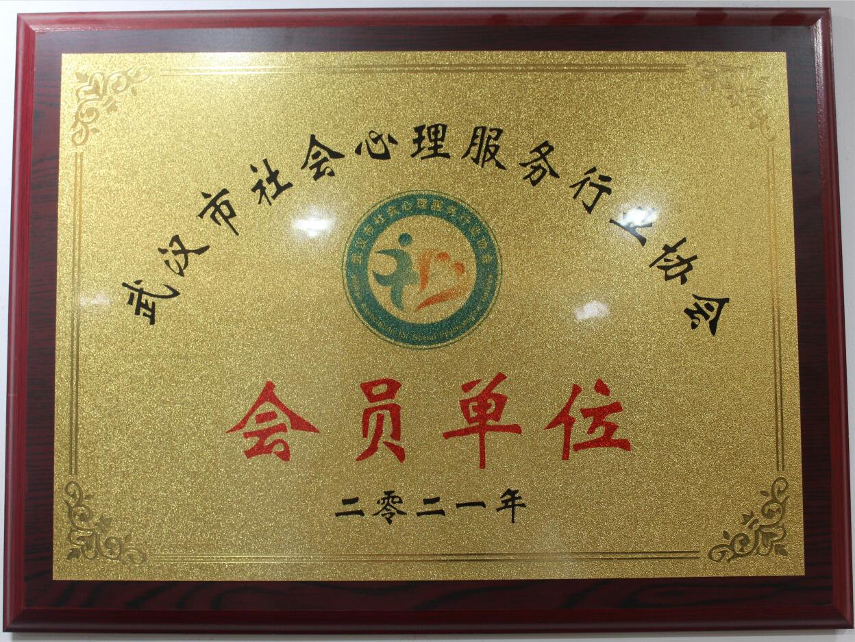 武漢市社會心理服務行業協會.jpg